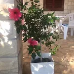 Holiday home Family Friendly 