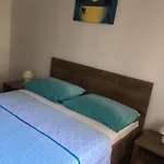 Family Friendly 