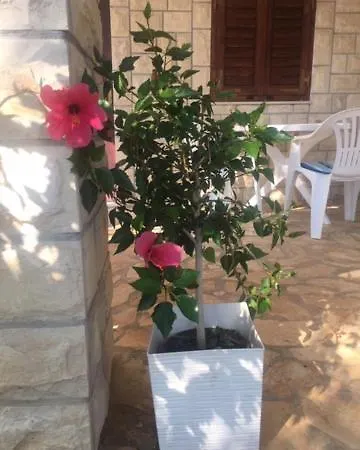 Hébergement de vacances Family Friendly 