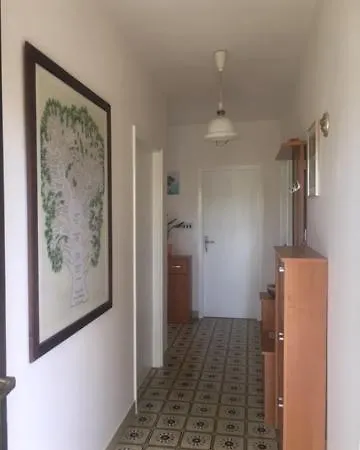 Family Friendly 