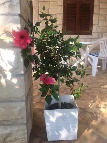 Casa vacanze Family Friendly 